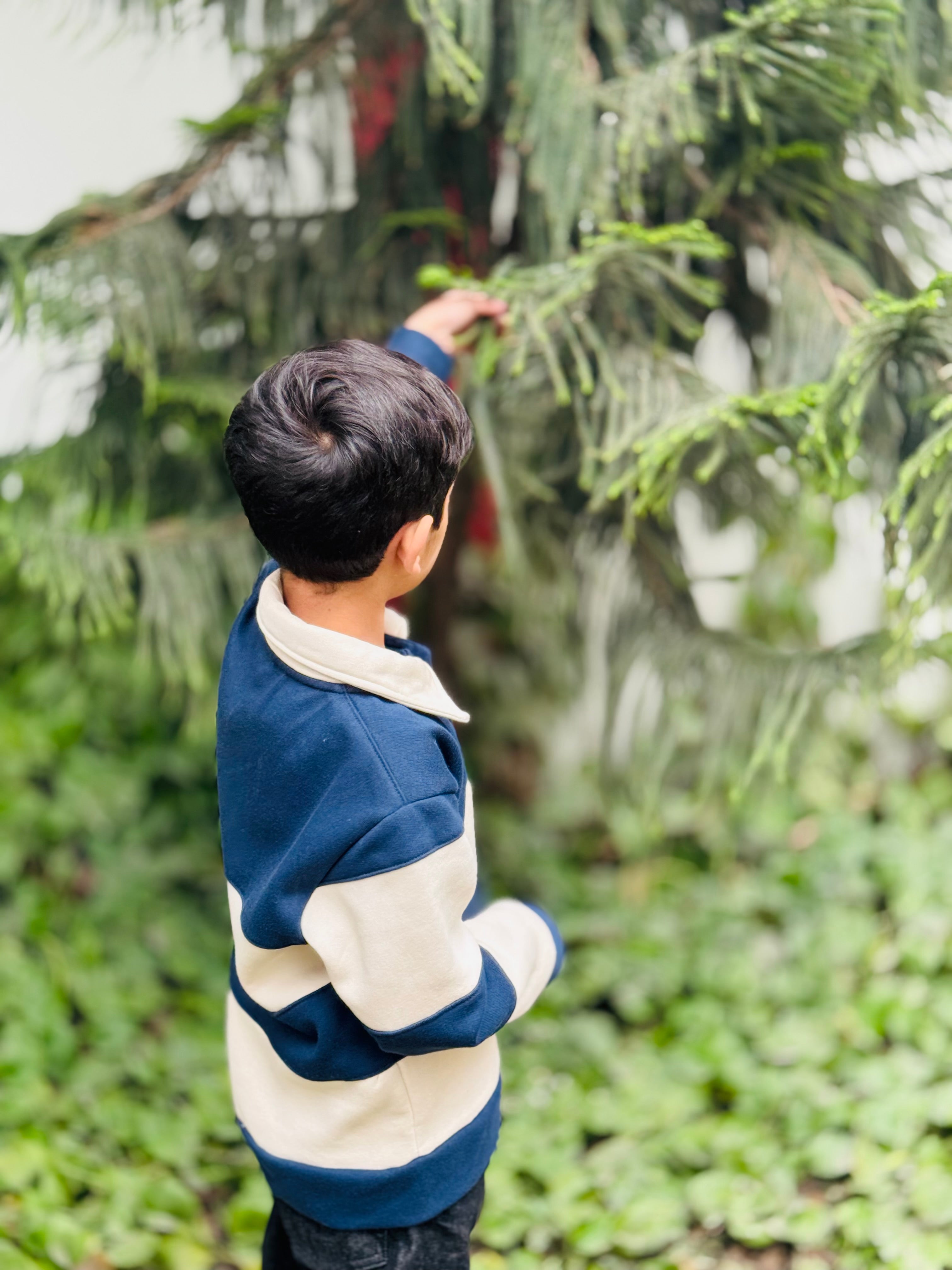 Navy Stripes Polo Sweatshirt