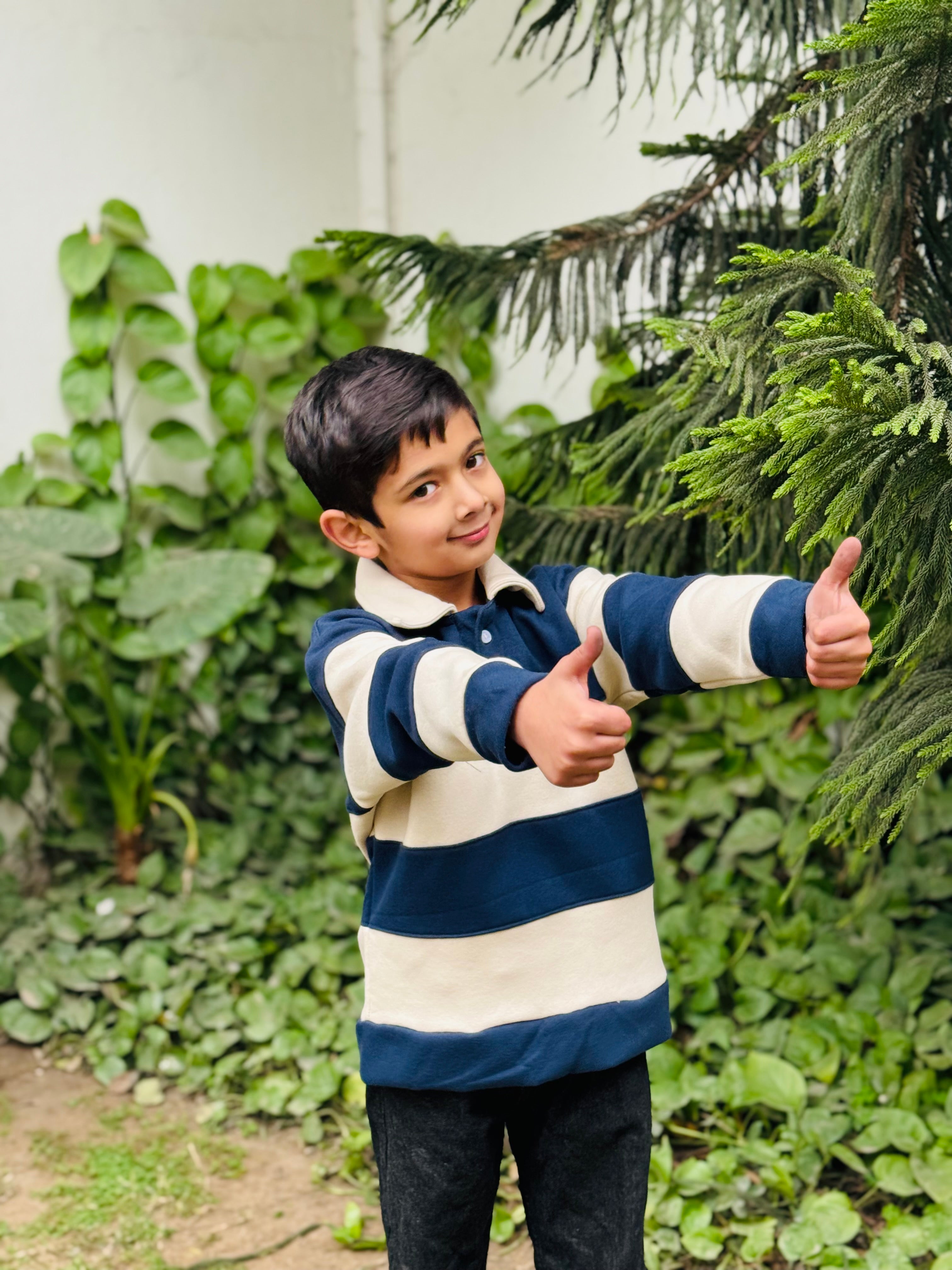 Navy Stripes Polo Sweatshirt